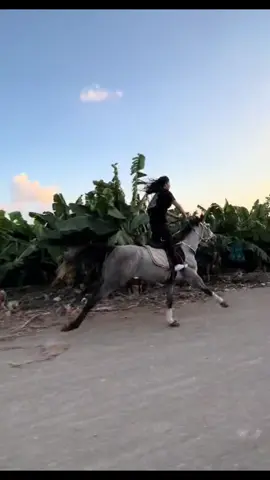 #خيل_وخياله🐎 #dancewithme #dance #سوريا_تركيا_العراق_السعودية 