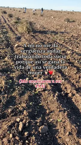 #mujerdecampo💪🏼💯   #mujertrabajadora 