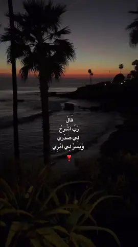 قَالَ رَبِّ اشْرحْ لِي صَدْري وَيَسرْ لِي أمْرِي❣️. #fyp #سورة_طه #قران 