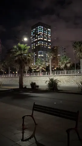 اللي يقابل حبيبي#شيرين #بيروت #viral #fypシ゚ #foryou 