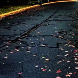 الي غاب عن عيني ميتا يا نااااس يجيني ♥️♥️🥹 . . #استوريات_انستا_واتساب #فيديوهاتي_تصاميمي🎶🎬 #حالات_واتس_اب #اسيوط_سوهاج_قنا_الاقصر_اسوان_المنيا 