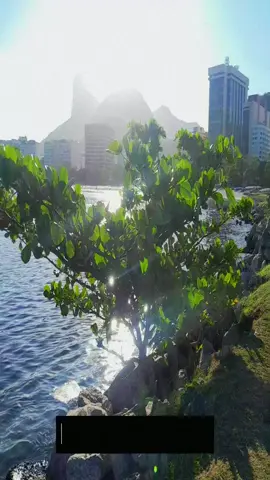 fiquei sem Internet fiz isso nesse meio tempo