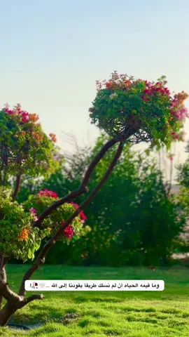 #جزء 144#تصويري📷 #تصويري_احترافي_الاجواء👌🏻🕊😴 #عباراتكم_الفخمه📿📌 #لايك_متابعه_اكسبلور 