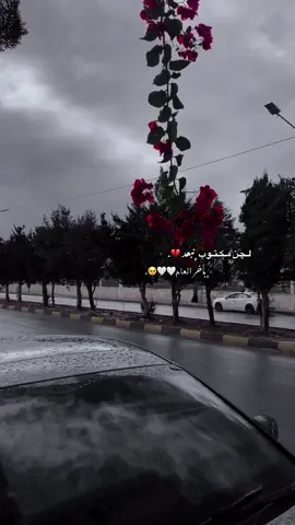 لچن مكتوب ﮼نبعد ﮼باخر العام .