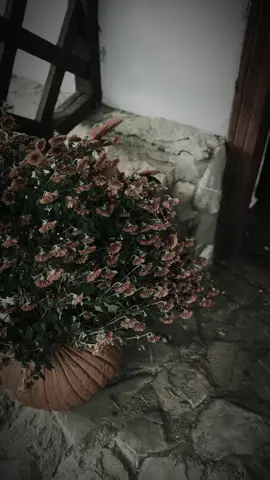 Weekendul prinde viață la Ferma de la Coadă! 🐮 Începând de vineri, vă așteptăm din nou cu activități pentru toată familia — plimbări cu căruța și calul, ateliere pentru copii, mâncare gătită pe loc și atmosfera autentică de la țară. 📅 Program: 🟢 Vineri – Sâmbătă – Duminică ⏰ De la 10:00 până la apus 📍 Ferma de la Coadă – Movila Miresii Vino să simți bucuria vieții la fermă, să te reconectezi cu natura și să creezi amintiri care rămân. ❤️ #FiiPeCoadă #FermaDeLaCoadă #WeekendLaFermă