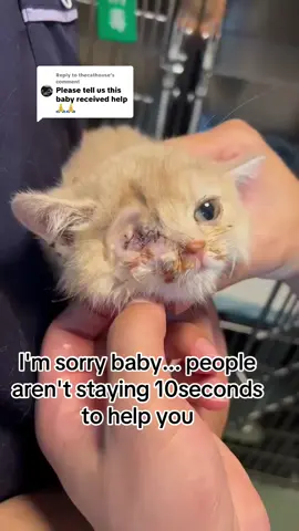 Replying to @thecathouse 