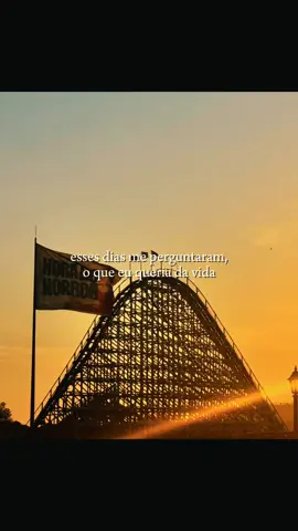 @Hopi Hari +1 passeio incrível , mais uma recordação incrível , guardarei para sempre esses momentos 🙏🏻❤️🥰 que venha 2026 👏🏻👏🏻👏🏻 alguém já foi?? como foi sua experiência?? superou suas expectativas?? #hopihari  #noitedoterror  #parque  #memorias  #diversao 