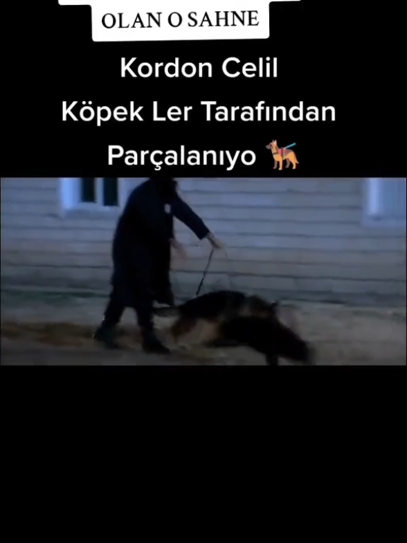 #sungurlar #sungurlarsefkattepe #serdarkomutan #kordoncelil🇹🇷🇹🇷 #şefkattepe 