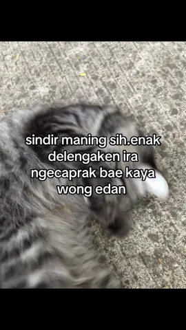 #indramayubarat 