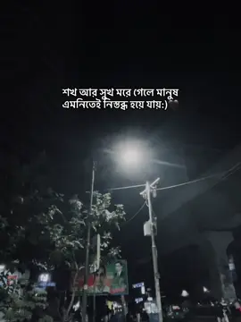 🖤🖤শখ আর সুখ মরে গেলে মানুষ এমনিতেই নিস্তব্ধ হয়ে যায়:)🖤 #CapCut #CapCut #CapCut #CapCut #CapCut 
