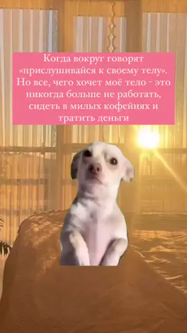 #жиза #рек #fyp 