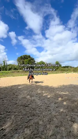 Oups #pourtoii #equitation #cavalier #fyp #horse 