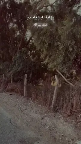 السنجك 📍🫶🏻#الانبار #القائم_الحدودالعراقيةالسوريا 