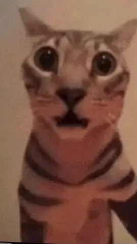 #fyppppppppppppppppppppppp #xbyzca #hairstyle #school @. #darkskin 