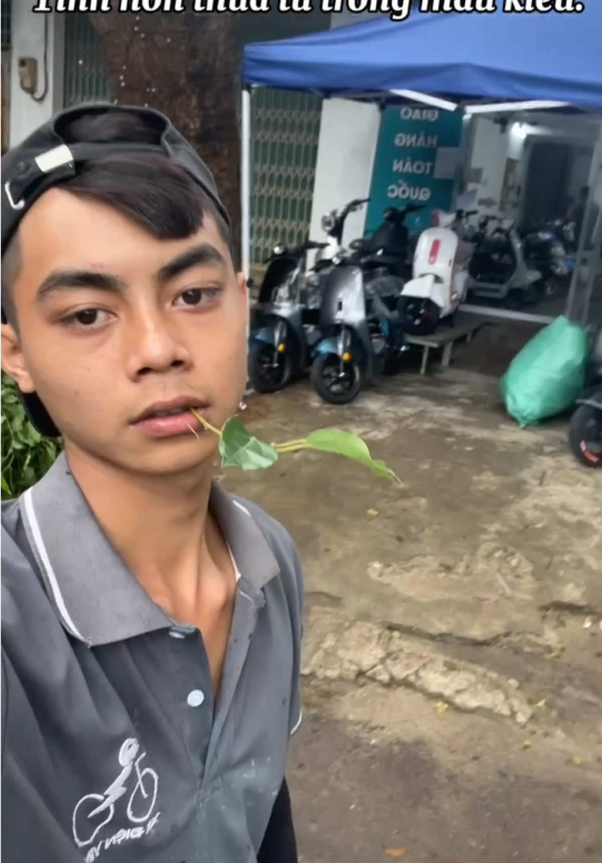 😌 #xedienvinh #xuhuonggggggggggggggggg #trend 