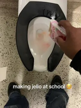 inspo from @Toilet Ambassador 