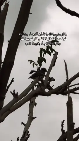 #سعود_الفايز #quran #الوتر 