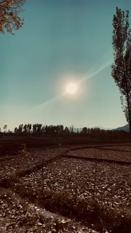 عبادتوں میں سب سے خوبصورت عبادت دوسروں کا درد محسوص کرنا ہوتا ہے ۔🫶🍂🍁#pakhtoon #ghanikhan #pashtolines #trending #naturalbeuty 