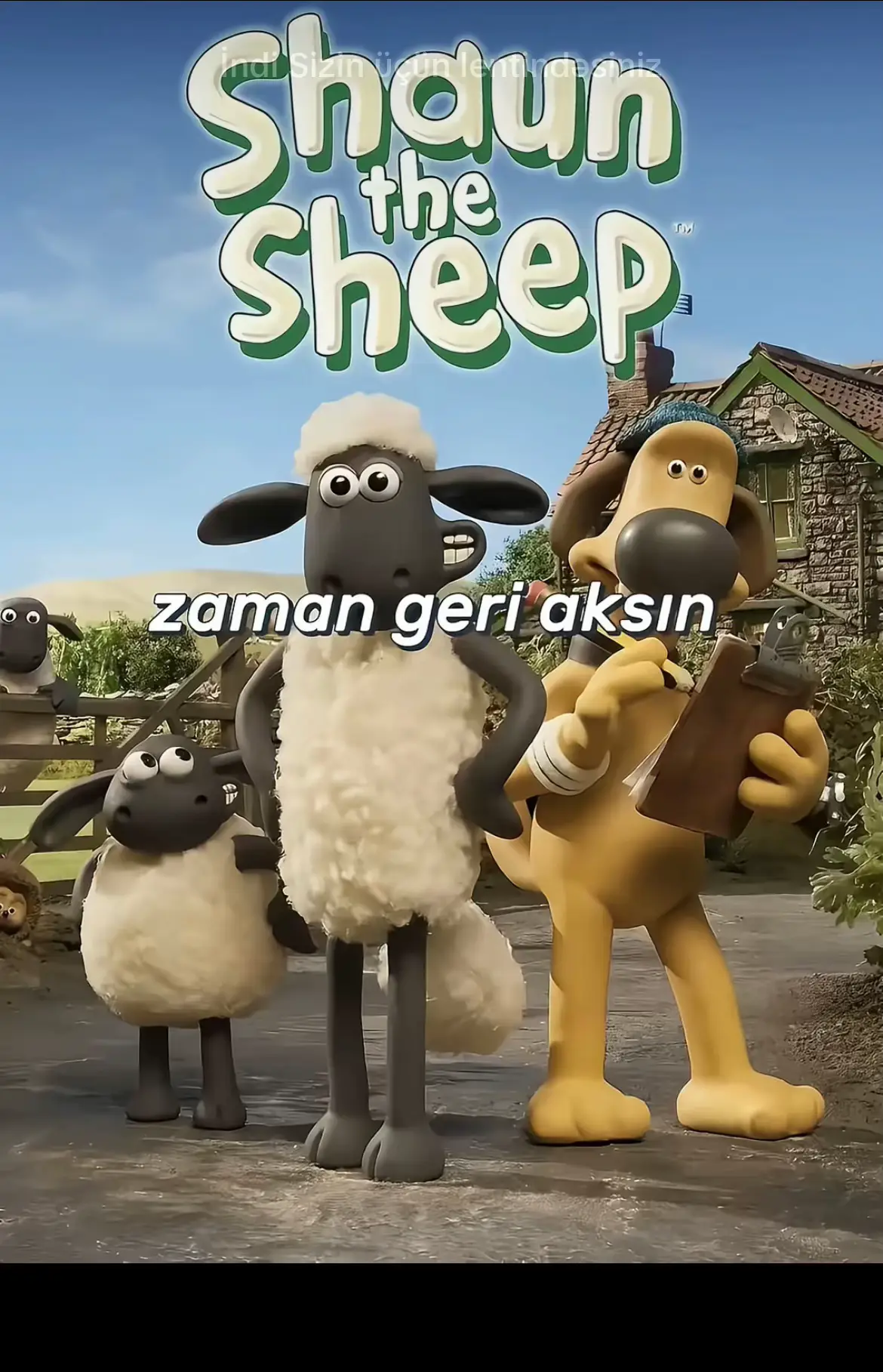 Köstebekler 👍🫶 😇😇 #viral_video 