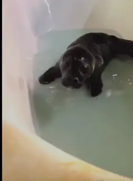 im sorry for this 🥹