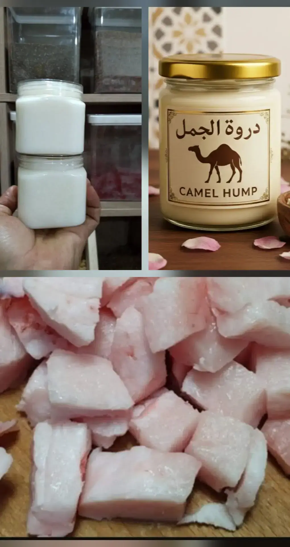 زيت سنام الجمل  عطار حركات 💓  جنزور الشرقيه تقاطع اولاد سويسي قرب مركز المرور 🥰 #ليبيا_طرابلس_مصر_تونس_المغرب_الخليج #اعشاب_طبية #اكسبلور #اعشاب_طبيعيه_فوائد #جنزور_السياحية_السراج 