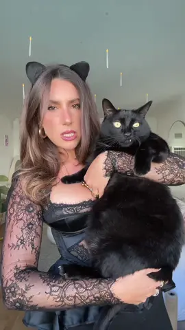 I would like to be a cat 🐈‍⬛ #cat #halloween #meow #catcostume #greekgirl 