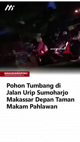 pohon tumbang di jalan Urip Sumoharjo Makassar depan Taman Makam Pahlawan, Senin malam, 27 Oktober 2025. #makassarinfoku  #sahabatinformasiharianmu