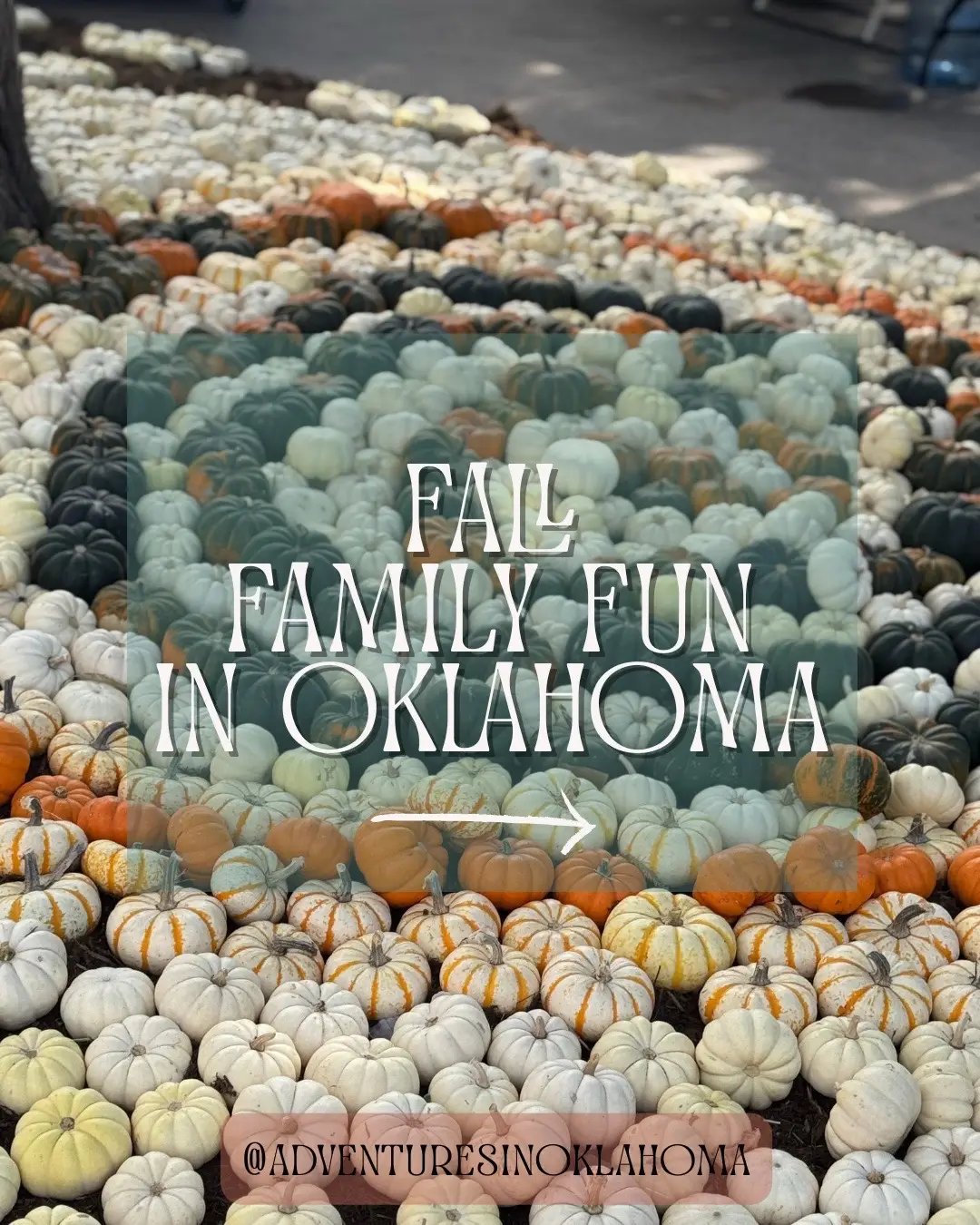 Know a spot that I missed?! Share it in the comments!  #ExploreOklahoma #TravelOK #VisitOK #OnlyInOklahoma #AdventuresInOklahoma              