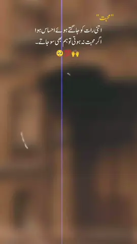 اتنی رات کو جاگتے ہوئے احساس ہوا اگر محبت نہ ہوتی تو ہم بھی سو جاتے۔🥺💯🙌 💔 Deep lines 🤍 Urdu poertry ✨ shyerii video ✨ trending now ✨ trending video 📷 1.5 million views 🪟 please UN freeze my account 🙏🙏 #UrduPoetry #SadPoetry #EmotionalPoetry #viewsproblem💔😔 #