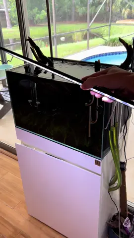 Still too much light. Let’s decrease it by a lot until the plants grow in and the hair algae goes away #aquarium #fishtank #plantedtank #fyp #tiktok 