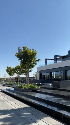 فطور وزاب☀️ #فطور #ابها #لي_بريمير #وزاب #عريكة @وزّاب @لو پريمير 