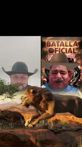 ¡Muchísimas gracias a estos grandes donadores! ¡Gracias por apoyar mi LIVE! #tiktoklive #livehighlights #livegift #tiktokuniverse #lion