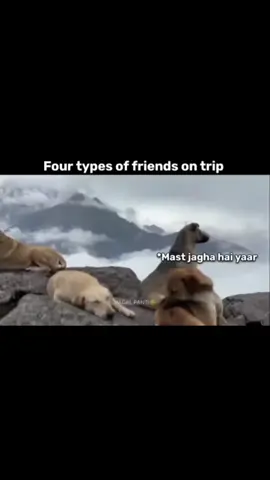 four types of friend on trip 😂#ismail#for#foryou#foryoupage#new#tiktok#tiktokpakistan#trending#viral