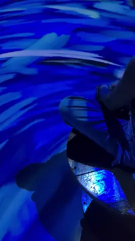 #vangogh #exposicaovangogh #sensorial #noiteestrelada #cartasdeamor #girassolvangogh 