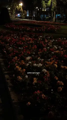 #fypシ#keşfet#recommendations#🌺