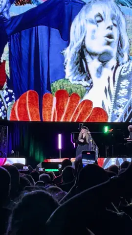 Stop dragging my heart around ❤️#stevienicks #musicistherapy #bucketlist #relentlesslychasingmypeace #thebestlalaeveryay 