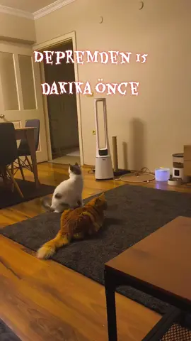 #balıkesir #sındırgı #izmir #deprem #tiktok 