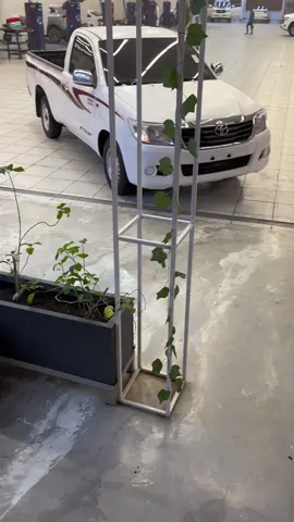 ماشاءالله🥺. #القصيم ##بريده #عنيزه #البكيريه 