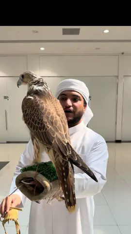 @لـيـث الطائي🦅🇦🇪 
