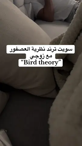 انا اقول نجح😂🥹  “Bird theory” #fyp #explore #viral #bird #foryou 