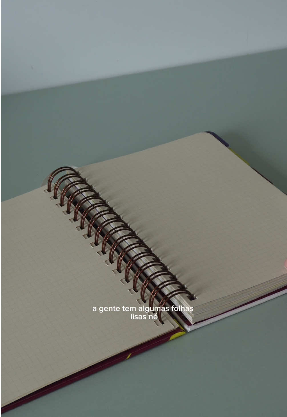 sem mais delongas, esse é nosso planner anual de 2026! amanhã às 20h 👀 #planner2026 #planner #planneraddict #plannercommunity 