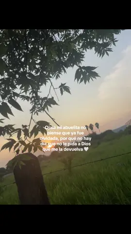 #paratii #🕊️ #abuelita #LIVEIncentiveProgram #GoLIVEGrowFast 