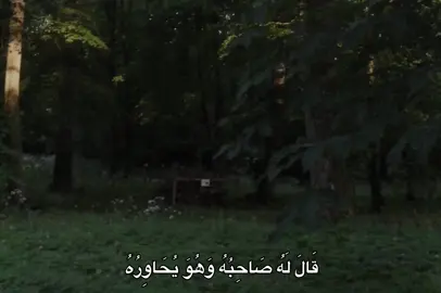 #احمد_نعينع #fyp #quran #🎧 