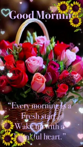 #tiktoktamilmalaysia #80stamilsong #tamillovesong #tiktoktamilan #goodmorning 