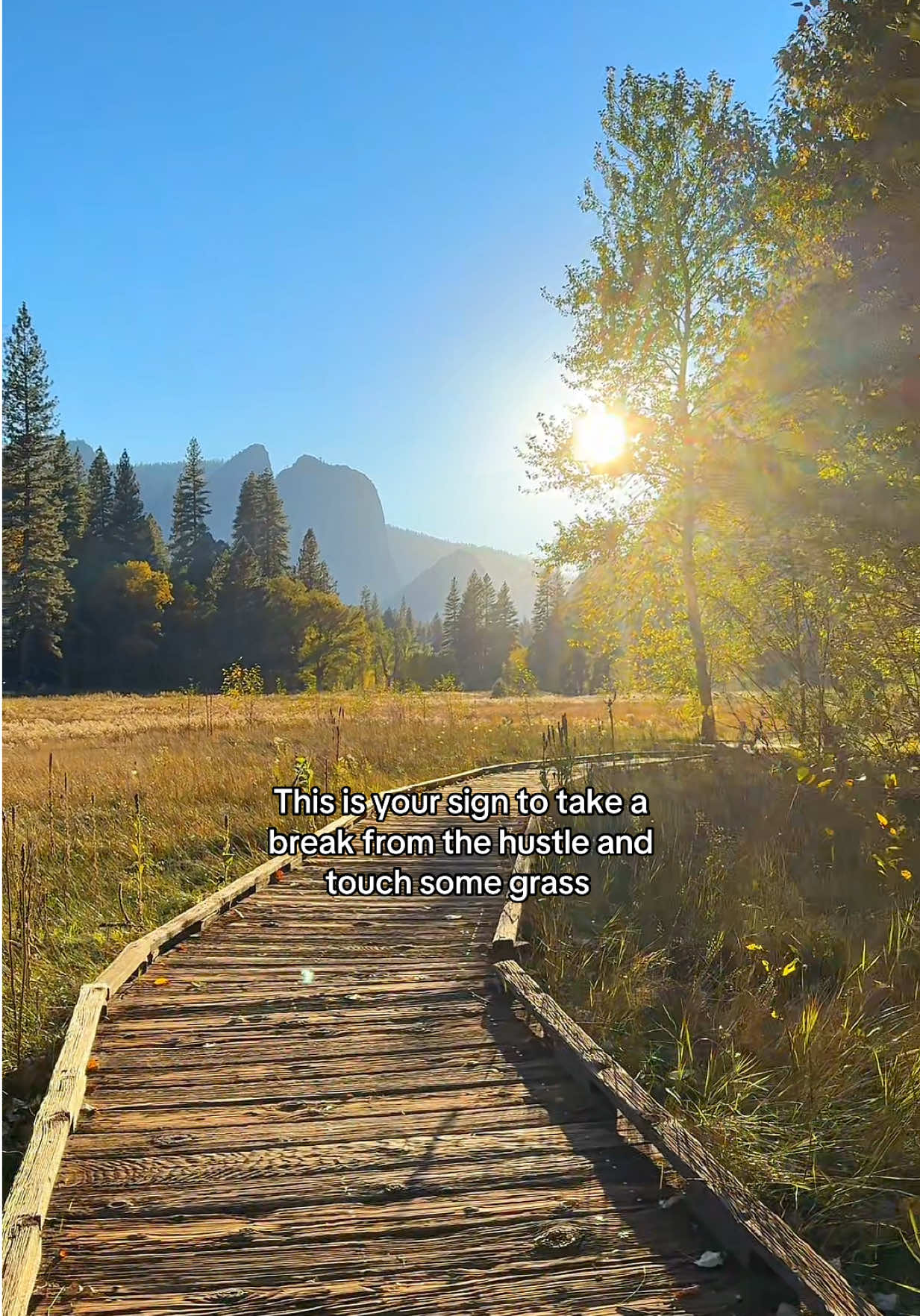 Unwind outside of the city #yosemitenationalpark #yosemite #forest #Hiking 