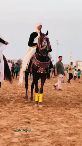 #الله يبارك #خيل_وخياله🐎 #يربح_من_يصلي_عن_النبي🌙 #الخمس_صبراته_مصراته_زليطن_الزاويه #سبها_ليبيا_الجنوب_الليبي_طرابلس_ 