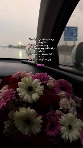 #ورد #هواجيس_الليل #حب #مطر #مالي_خلق_احط_هاشتاقات 