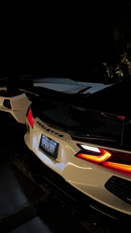 twin. #corvettestingray #corvetteracing #corvettesupercar #c8 #corvettestingray