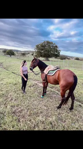 ❤️‍🔥 #foryou #galegas #cavalosminhapaixao #cavalos #vaquejada 