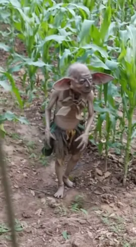 El duende del cultivo #fypシ゚viralシ #criaturasextrañasdelanoche #fypシ #viralreelsシ #criaturasextrañas